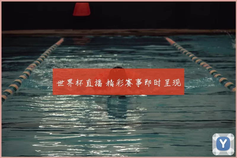 世界杯直播 精彩赛事即时呈现