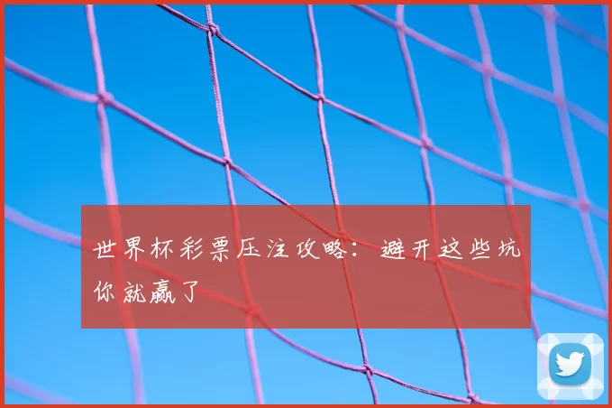 世界杯彩票压注攻略:避开这些坑你就赢了