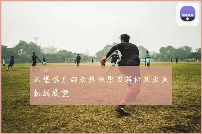 汉堡俱乐部未降级原因解析及未来挑战展望
