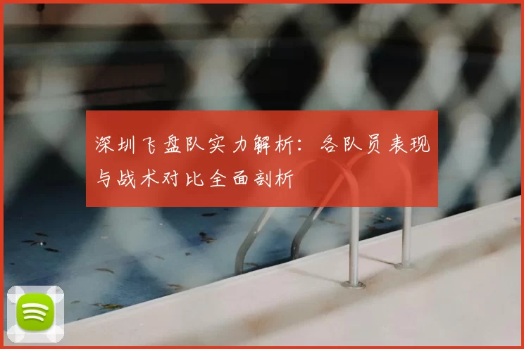 深圳飞盘队实力解析：各队员表现与战术对比全面剖析