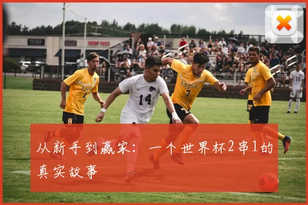 从新手到赢家：一个世界杯2串1的真实故事