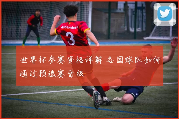 世界杯参赛资格详解 各国球队如何通过预选赛晋级