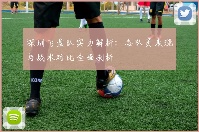 深圳飞盘队实力解析:各队员表现与战术对比全面剖析
