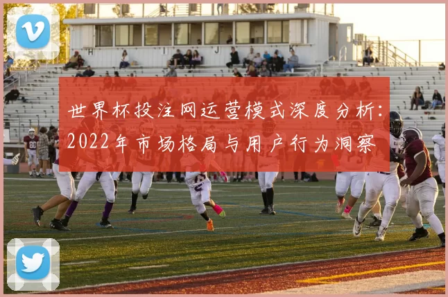 世界杯投注网运营模式深度分析：2022年市场格局与用户行为洞察