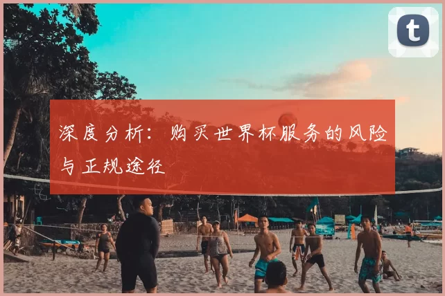 深度分析：购买世界杯服务的风险与正规途径