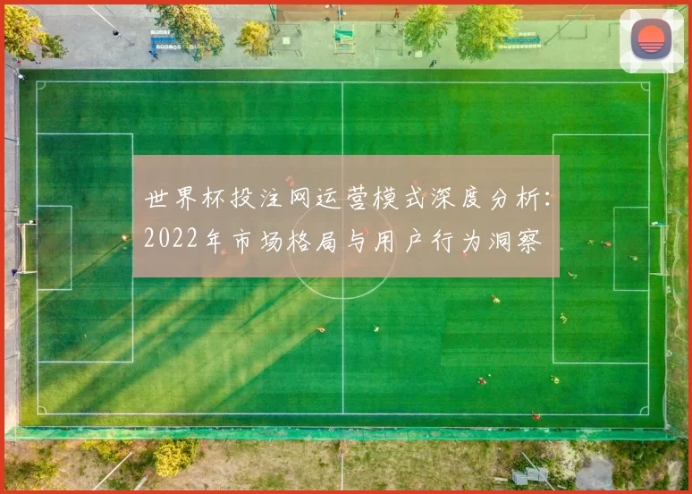 世界杯投注网运营模式深度分析：2022年市场格局与用户行为洞察