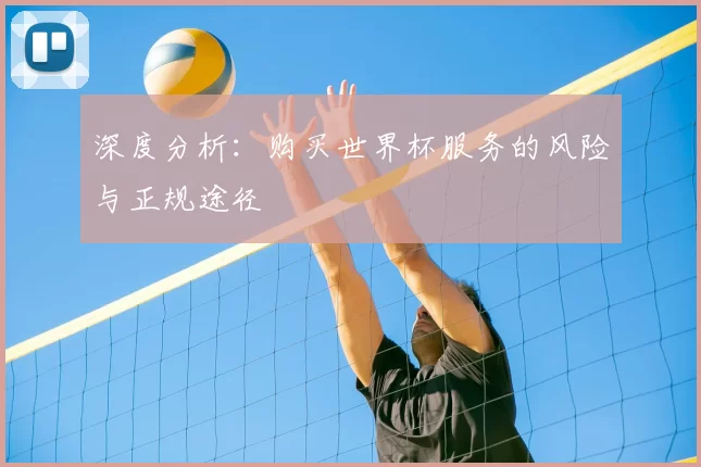 深度分析：购买世界杯服务的风险与正规途径
